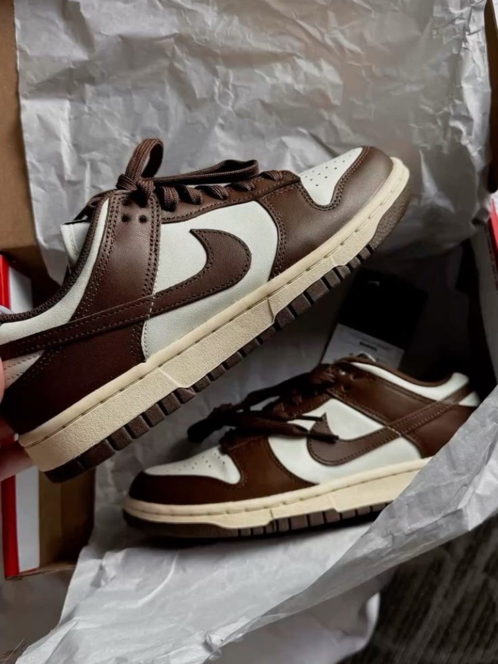 Nike Dunk Shoes in Dark Brown
